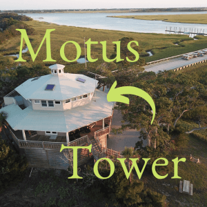 Read more about the article MOTUS Tower Provides a Whole New Look at Bird Migration